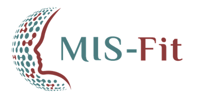 MIS-Fit · Confidence through Systems
